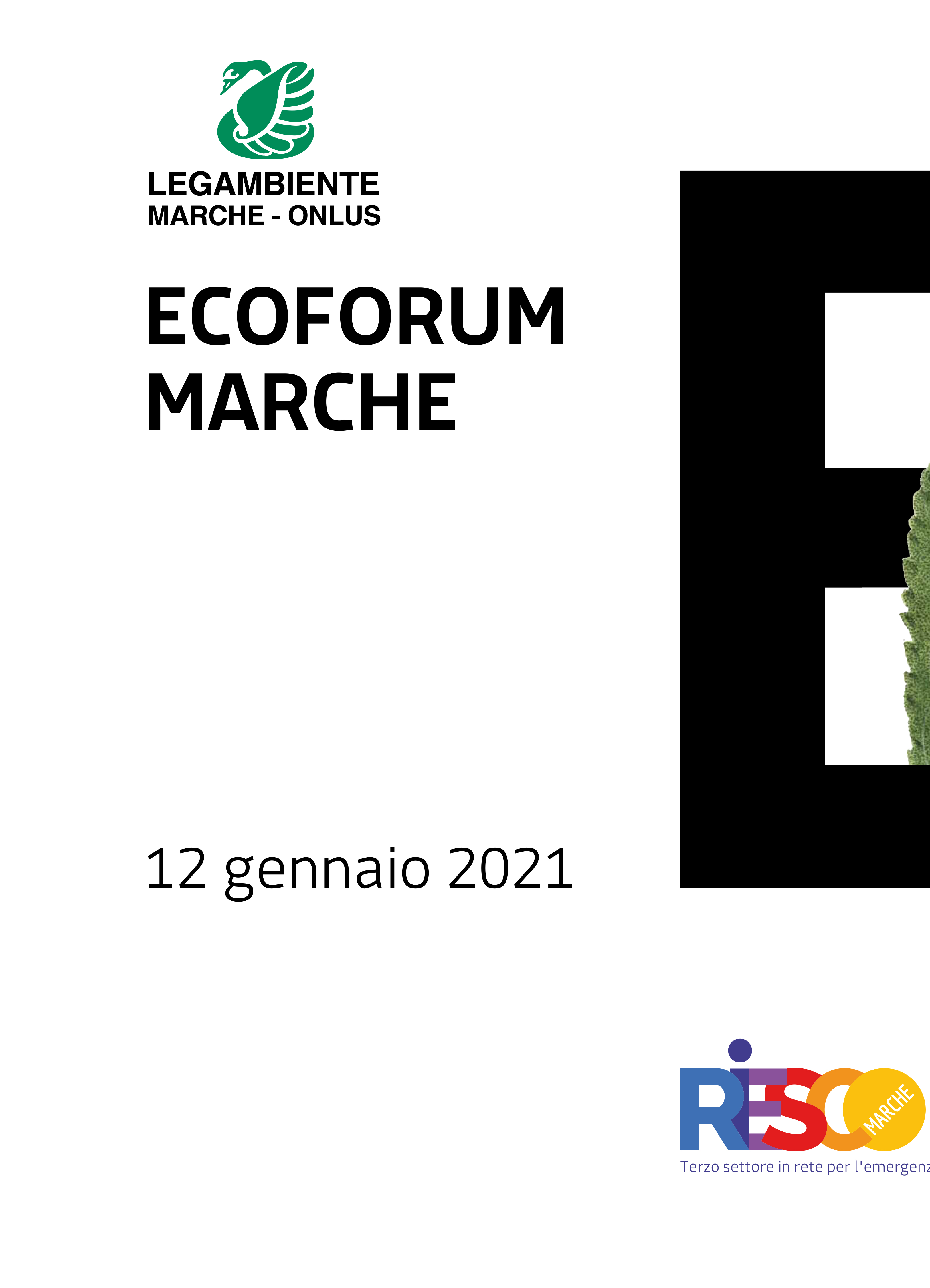 marche-2020-11468066797.jpg